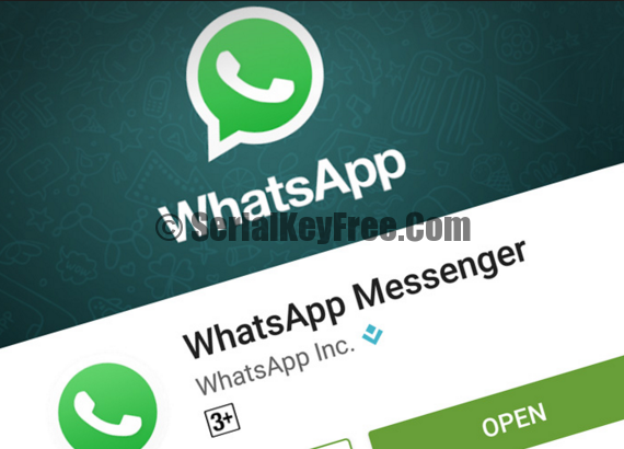 Free Download Whatsapp Videos For Android